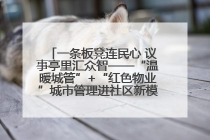 一条板凳连民心 议事亭里汇众智——“温暖城管”+“红色物业”城市管理进社区新模式绘就城市管理社区治理新画卷