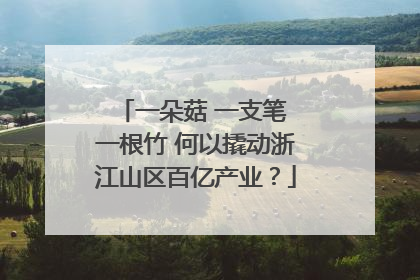 一朵菇 一支笔 一根竹 何以撬动浙江山区百亿产业？