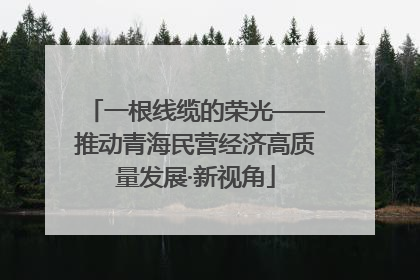 一根线缆的荣光——推动青海民营经济高质量发展·新视角