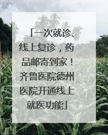 一次就诊、线上复诊，药品邮寄到家！齐鲁医院德州医院开通线上就医功能