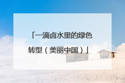 一滴卤水里的绿色转型（美丽中国）