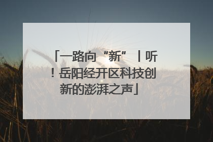一路向“新”丨听！岳阳经开区科技创新的澎湃之声