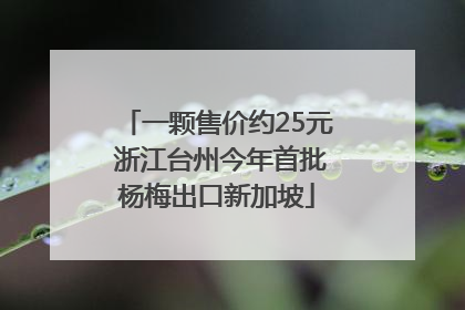 一颗售价约25元 浙江台州今年首批杨梅出口新加坡