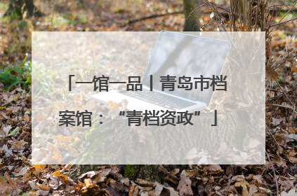 一馆一品丨青岛市档案馆：“青档资政”