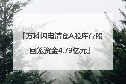 万科闪电清仓A股库存股 回笼资金4.79亿元