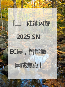 三一硅能闪耀2025 SNEC展，智能微网成焦点