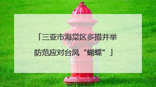 三亚市海棠区多措并举防范应对台风“蝴蝶”