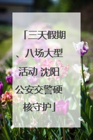 三天假期、八场大型活动 沈阳公安交警硬核守护
