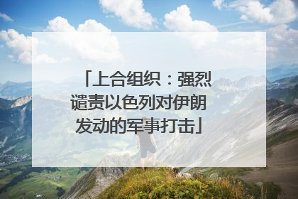 上合组织：强烈谴责以色列对伊朗发动的军事打击