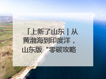 上新了山东｜从黄渤海到印度洋，山东版“零碳攻略”有多能打？