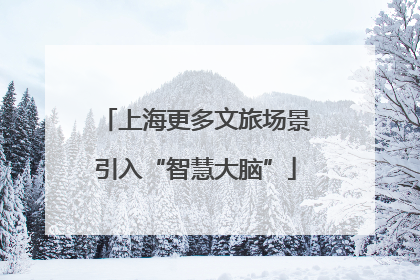 上海更多文旅场景引入“智慧大脑”