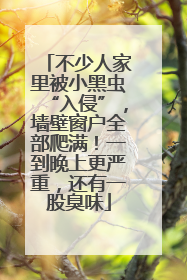 不少人家里被小黑虫“入侵”，墙壁窗户全部爬满！一到晚上更严重，还有一股臭味