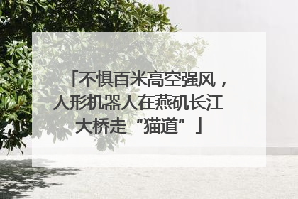 不惧百米高空强风，人形机器人在燕矶长江大桥走“猫道”