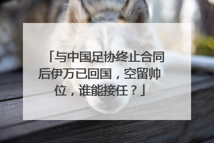 与中国足协终止合同后伊万已回国，空留帅位，谁能接任？
