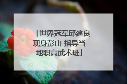 世界冠军邱建良现身彭山 指导当地职高武术班