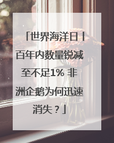 世界海洋日丨百年内数量锐减至不足1% 非洲企鹅为何迅速消失？