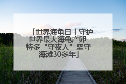 世界海龟日丨守护世界最大海龟产卵 特多“守夜人”坚守海滩30多年