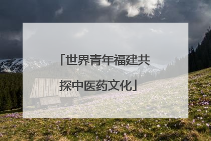 世界青年福建共探中医药文化