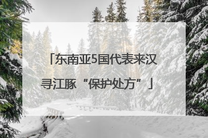 东南亚5国代表来汉寻江豚“保护处方”