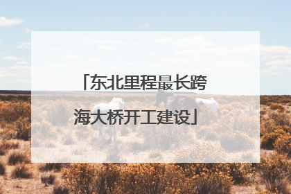 东北里程最长跨海大桥开工建设