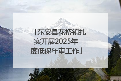 东安县花桥镇扎实开展2025年度低保年审工作