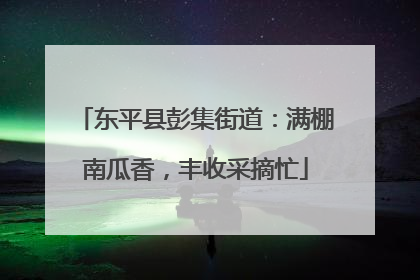 东平县彭集街道：满棚南瓜香，丰收采摘忙