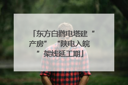 东方白鹳电塔建“产房” “陕电入皖”架线延工期