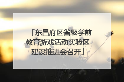 东昌府区省级学前教育游戏活动实验区建设推进会召开
