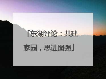 东湖评论：共建家园，思进图强