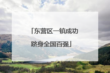 东营区一镇成功跻身全国百强