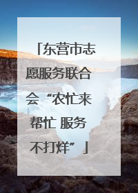 东营市志愿服务联合会“农忙来帮忙 服务不打烊”
