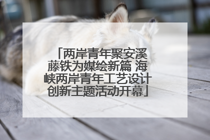 两岸青年聚安溪 藤铁为媒绘新篇 海峡两岸青年工艺设计创新主题活动开幕