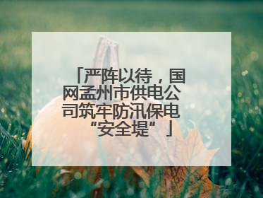 严阵以待，国网孟州市供电公司筑牢防汛保电“安全堤”