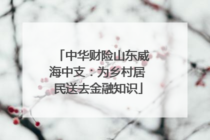 中华财险山东威海中支：为乡村居民送去金融知识