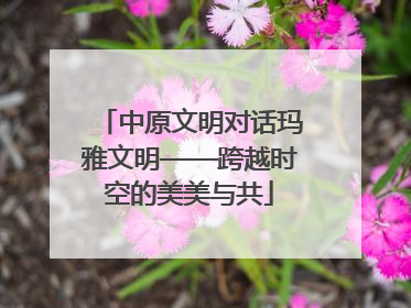 中原文明对话玛雅文明——跨越时空的美美与共