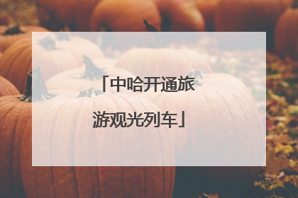 中哈开通旅游观光列车