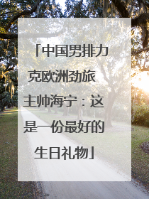 中国男排力克欧洲劲旅 主帅海宁：这是一份最好的生日礼物