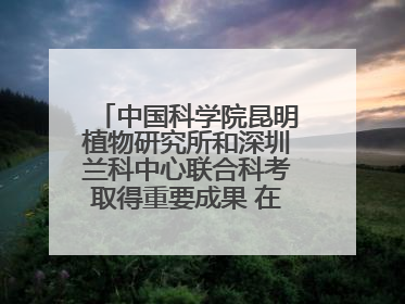 中国科学院昆明植物研究所和深圳兰科中心联合科考取得重要成果 在神农架发现两种“国保”级兰花