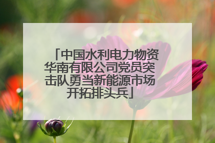 中国水利电力物资华南有限公司党员突击队勇当新能源市场开拓排头兵