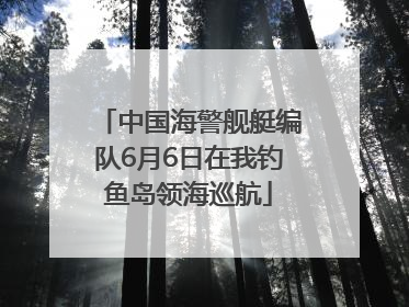 中国海警舰艇编队6月6日在我钓鱼岛领海巡航