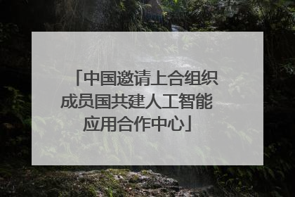 中国邀请上合组织成员国共建人工智能应用合作中心