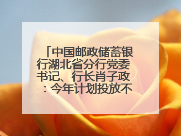 中国邮政储蓄银行湖北省分行党委书记、行长肖子政：今年计划投放不少于2000亿元支持支点建设
