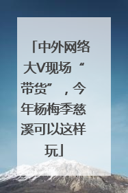 中外网络大V现场“带货”，今年杨梅季慈溪可以这样玩