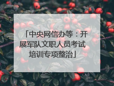 中央网信办等：开展军队文职人员考试培训专项整治