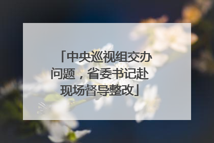 中央巡视组交办问题，省委书记赴现场督导整改