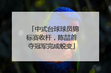 中式台球球员锦标赛收杆，陈喆首夺冠军完成蜕变
