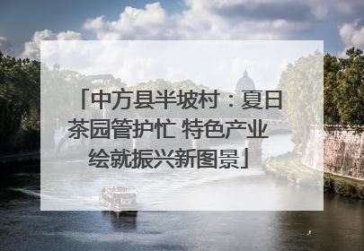 中方县半坡村：夏日茶园管护忙 特色产业绘就振兴新图景