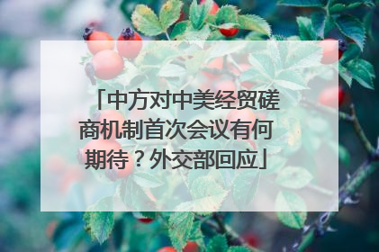 中方对中美经贸磋商机制首次会议有何期待？外交部回应