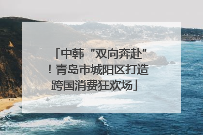 中韩“双向奔赴”！青岛市城阳区打造跨国消费狂欢场