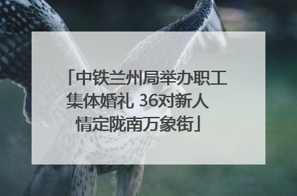 中铁兰州局举办职工集体婚礼 36对新人情定陇南万象街